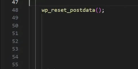 WP reset Post Data Function