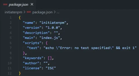 package.json initiation in VS code with Node.js