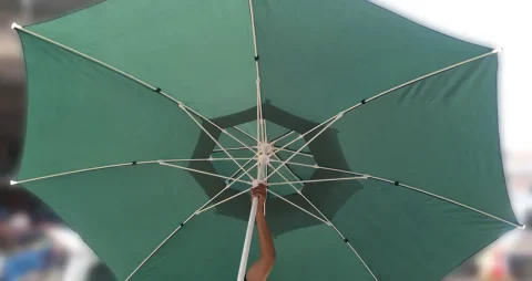 3.5m Balegojo Cafe Table Umbrella - Green Inner Part