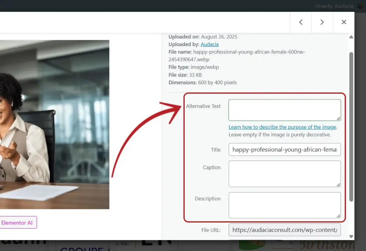 WordPress Image SEO Attributes-Off