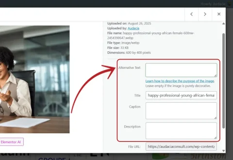 WordPress Image SEO Attributes-Off